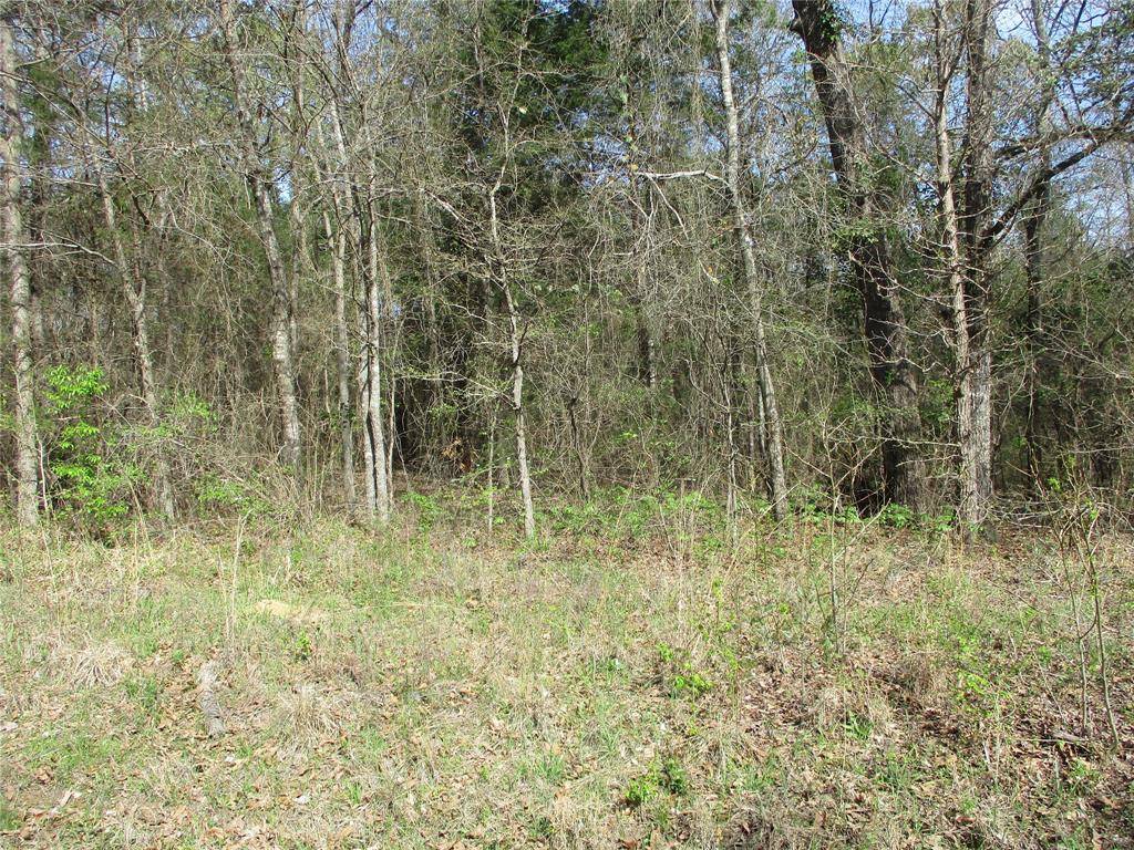 TBD County Road 2958, Alba, TX 75410