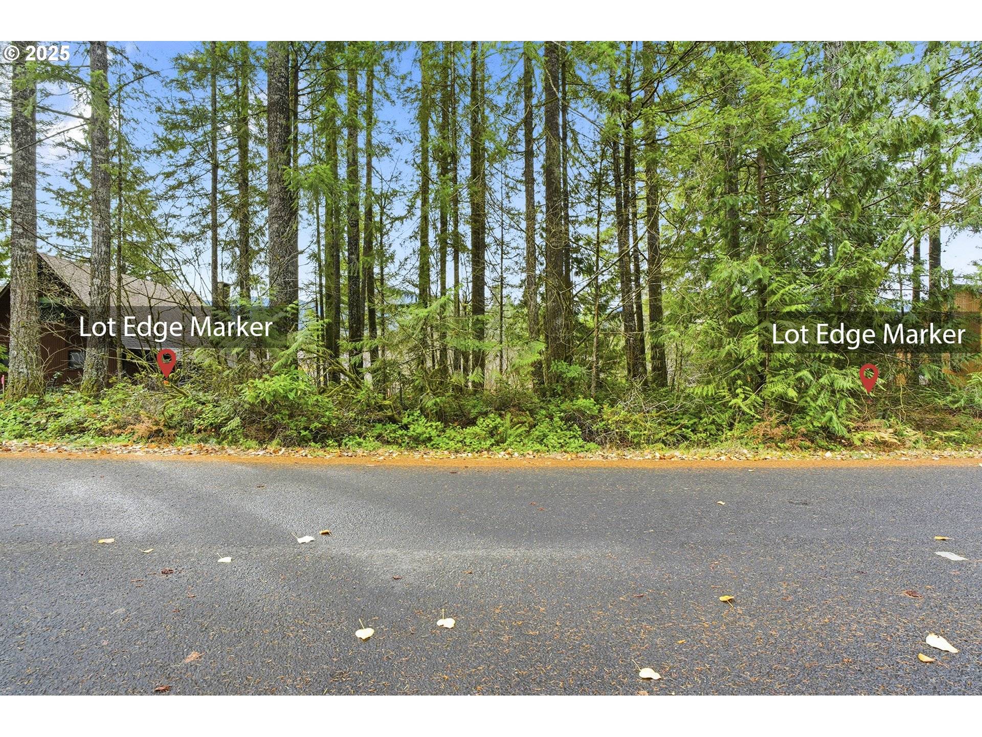65344 E SANDY RIVER LN, Rhododendron, OR 97049