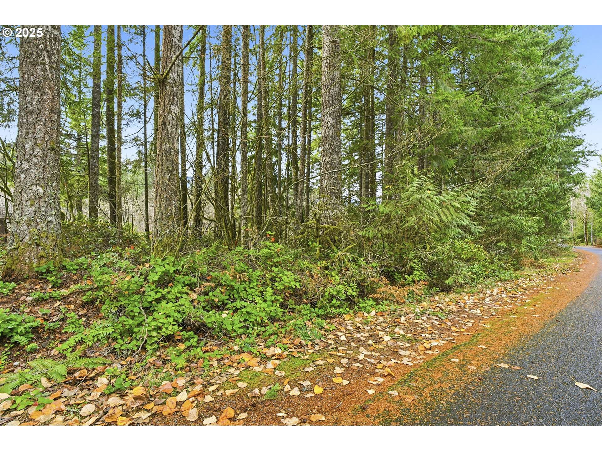 65344 E SANDY RIVER LN, Rhododendron, OR 97049