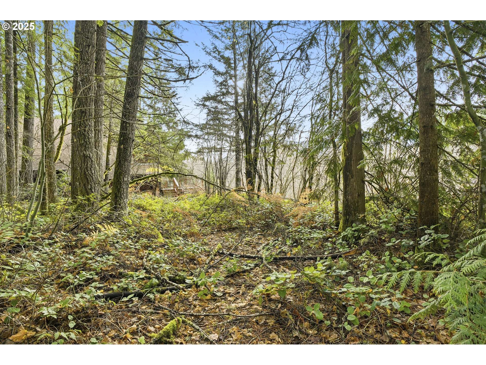 65344 E SANDY RIVER LN, Rhododendron, OR 97049