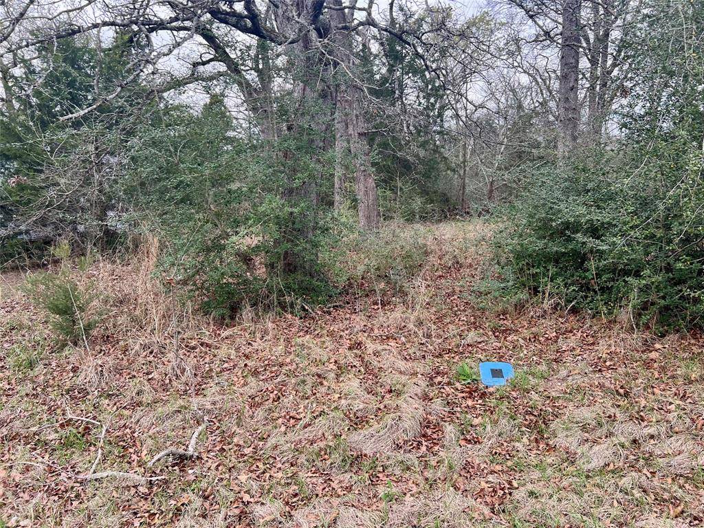 559 An County Road 2223, Tennessee Colony, TX 75861