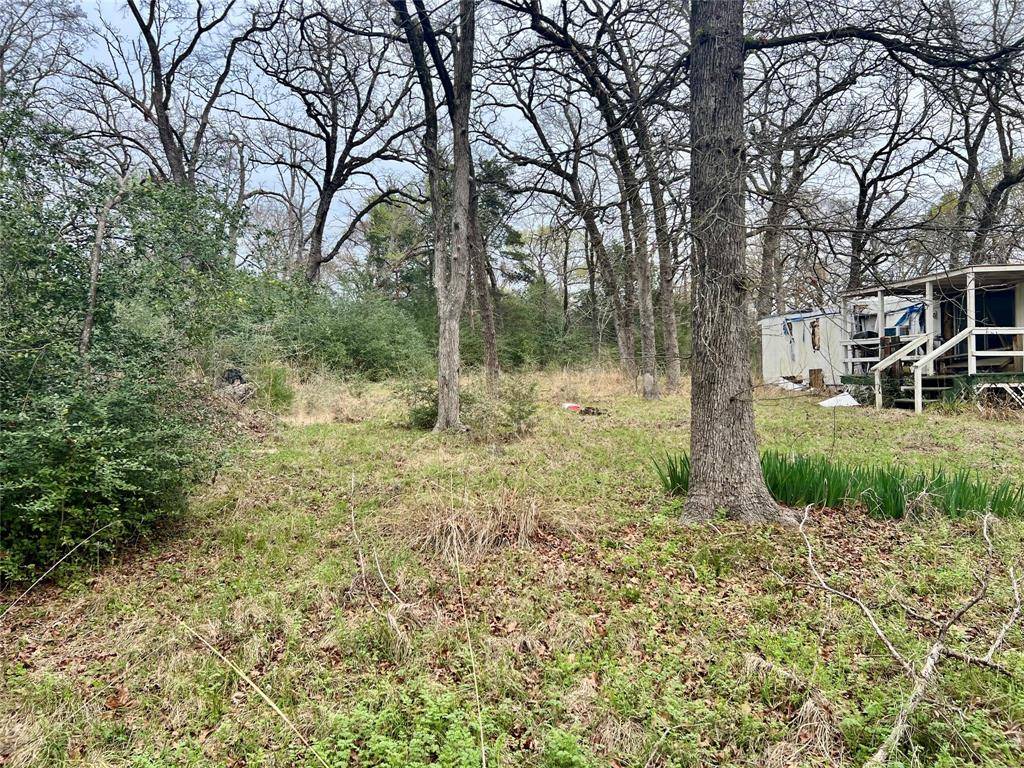 559 An County Road 2223, Tennessee Colony, TX 75861