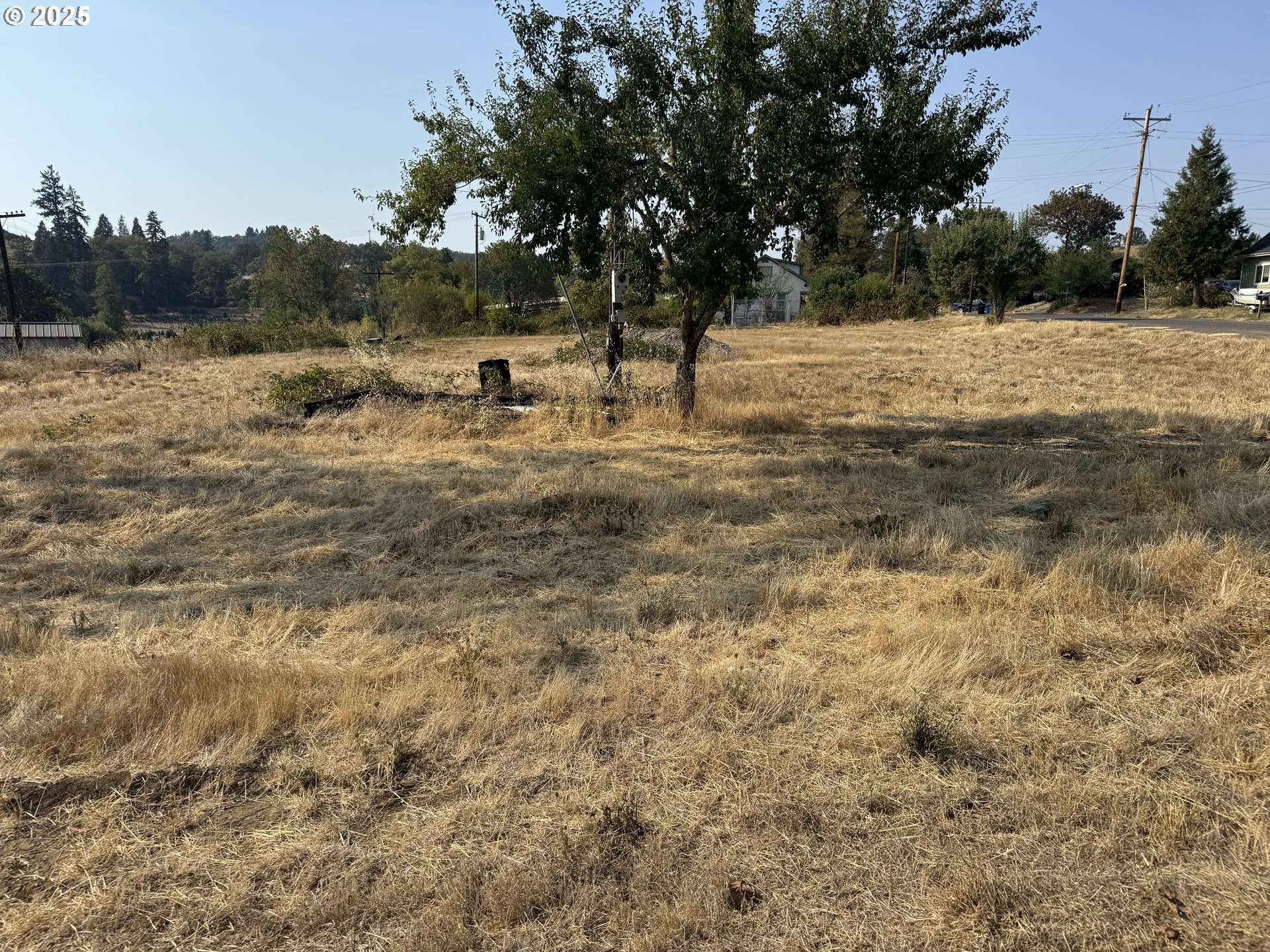 411 NE 1ST ST, Oakland, OR 97462