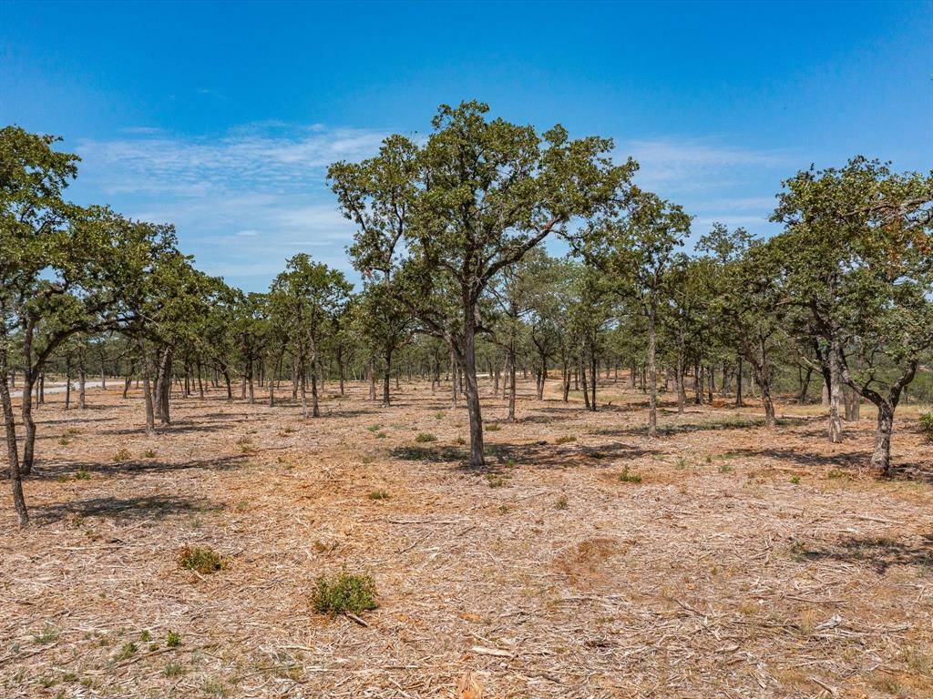 Lot 12 Choate, Bowie, TX 76230