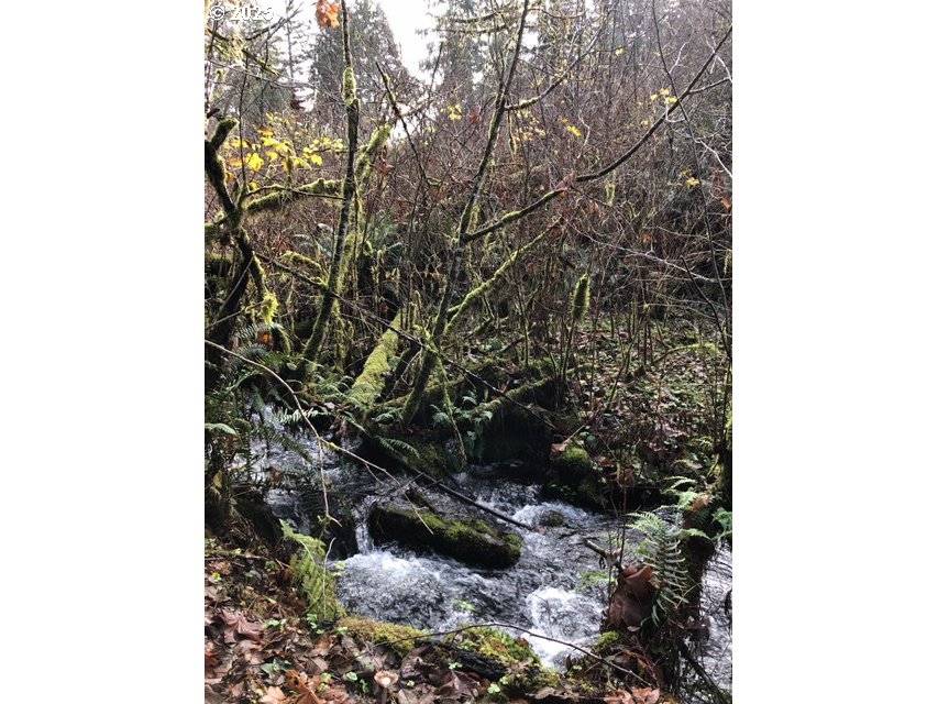 17719 NE MANNING CIR, Amboy, WA 98601