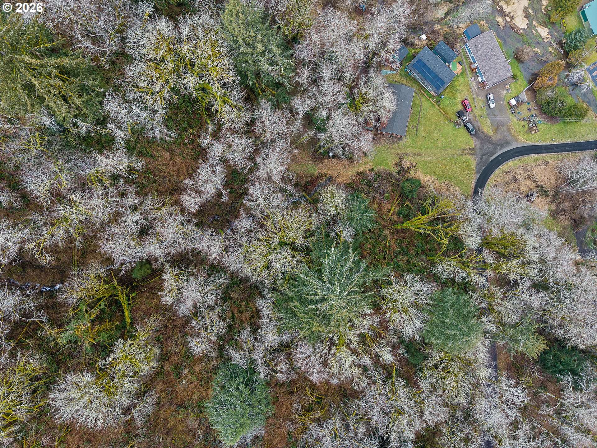 35495 BIG TROUT RD, Hebo, OR 97122