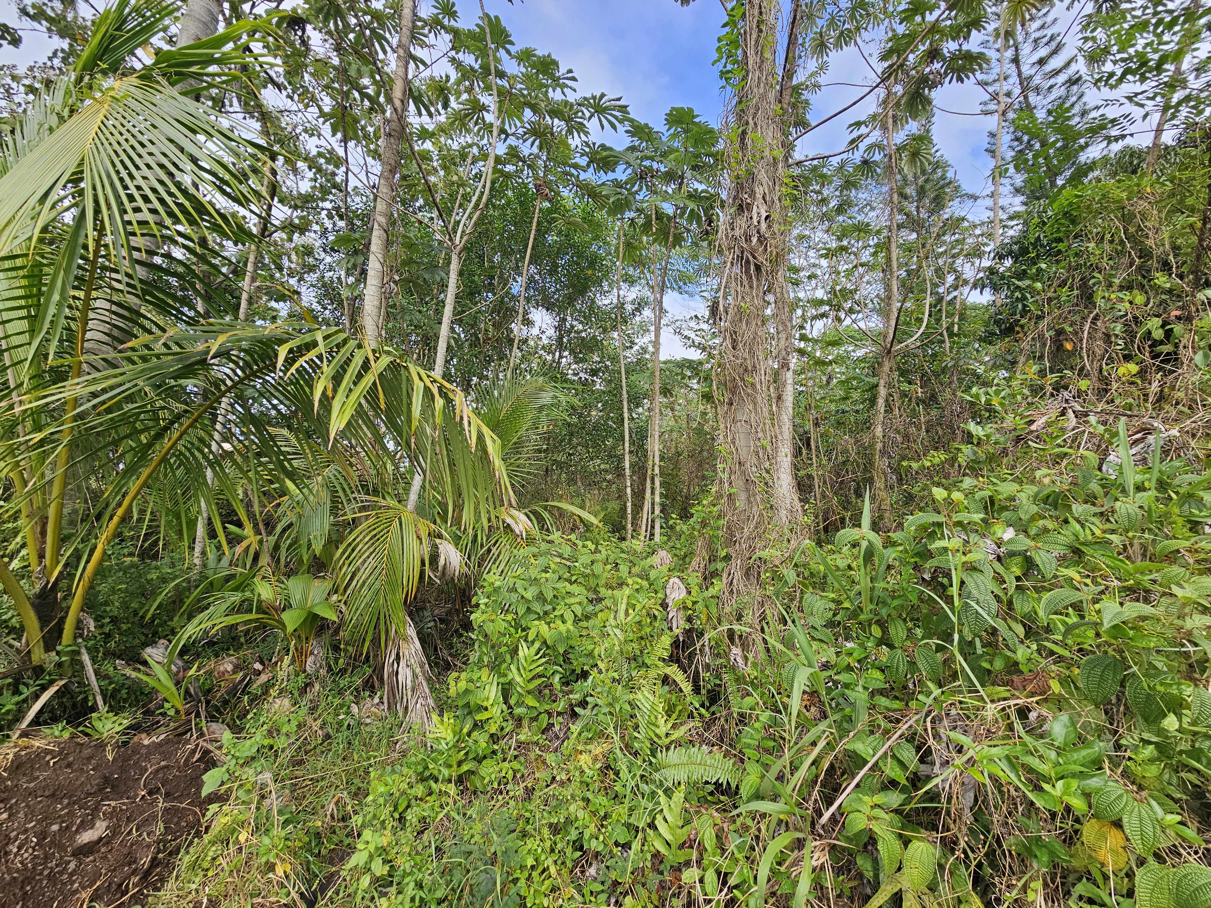 36TH AVE, Kurtistown, HI 96760