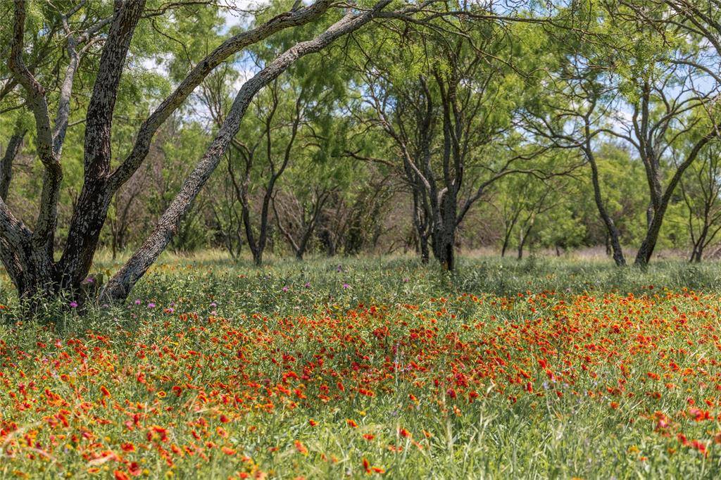 8548 County Road 332, Blanket, TX 76432