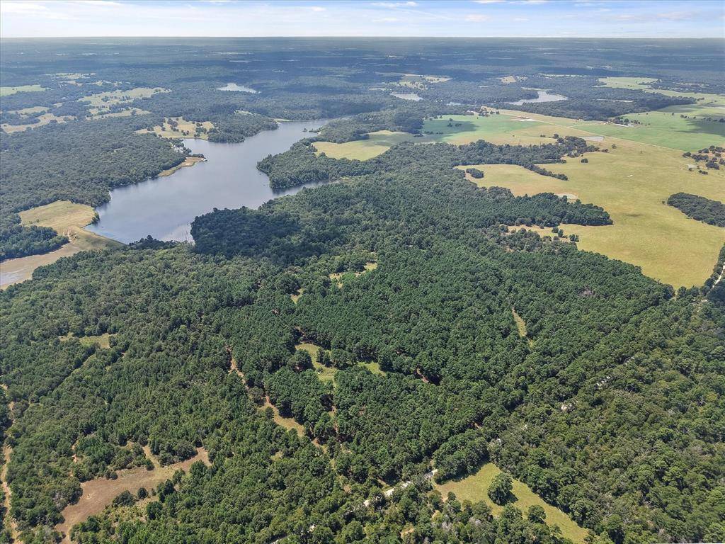 541 FCR 240, Fairfield, TX 75840