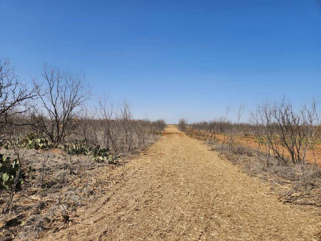 12929 County Road 356, Anson, TX 79501