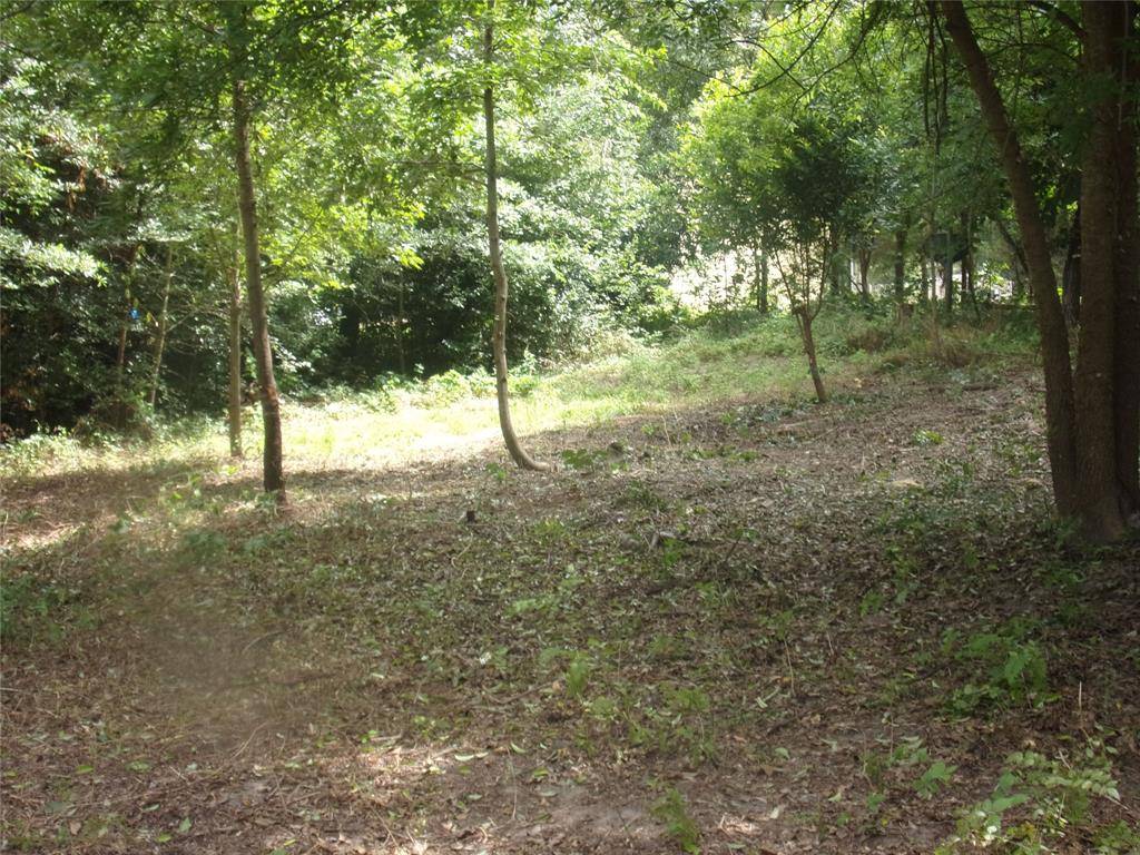 751 Dogwood Trail, Murchison, TX 75778