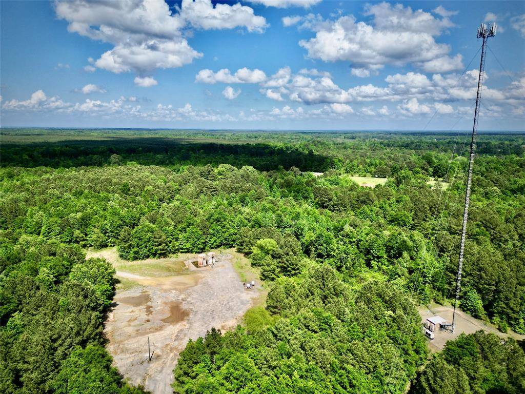 0 Bethel Road, Frierson, LA 71027