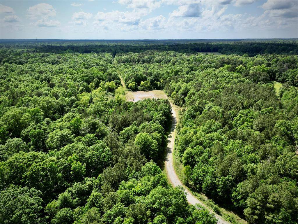 0 Bethel Road, Frierson, LA 71027