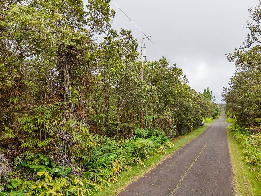 11-3190-A ANUHEA ST, Volcano, HI 96785
