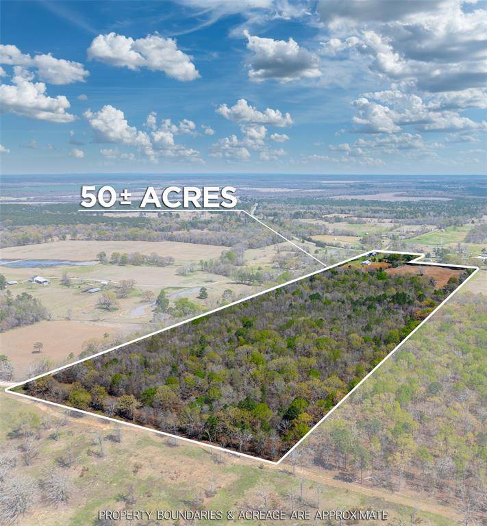 48 County Road 2360, Bagwell, TX 75412