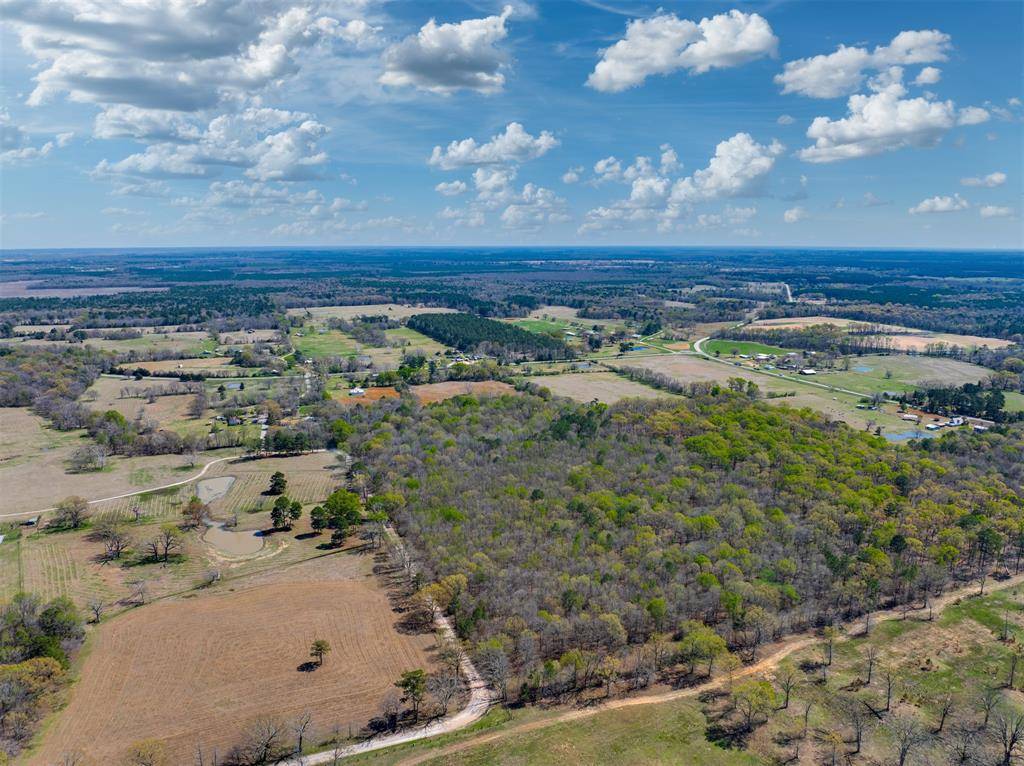 48 County Road 2360, Bagwell, TX 75412