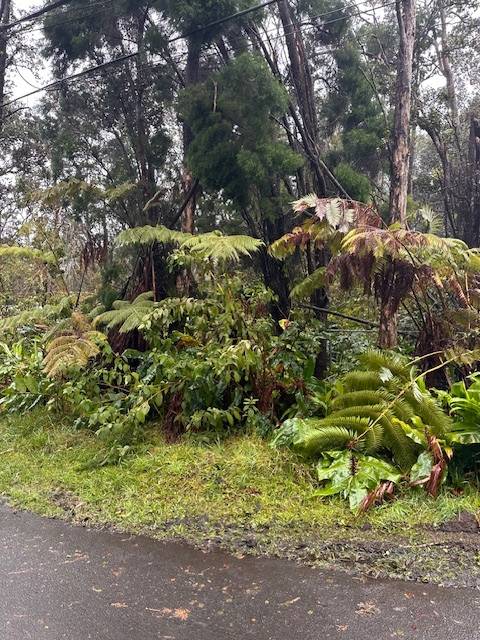Volcano, HI 96785