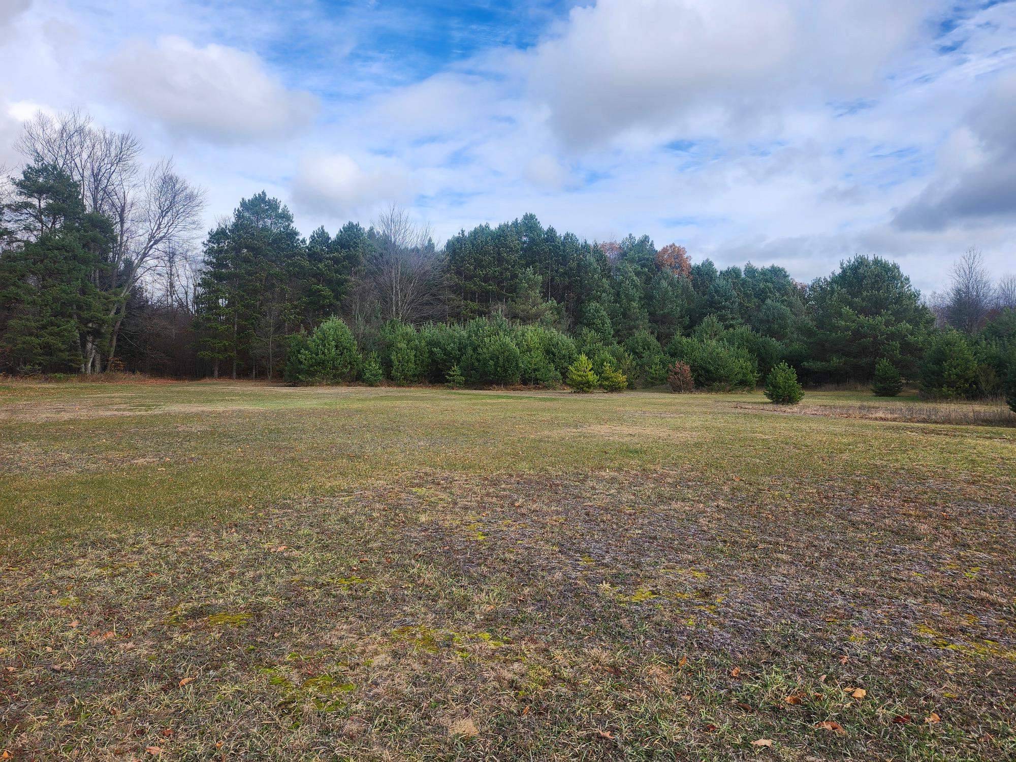 VL 9 Mile RD, Bear Lake Twp, MI 49645