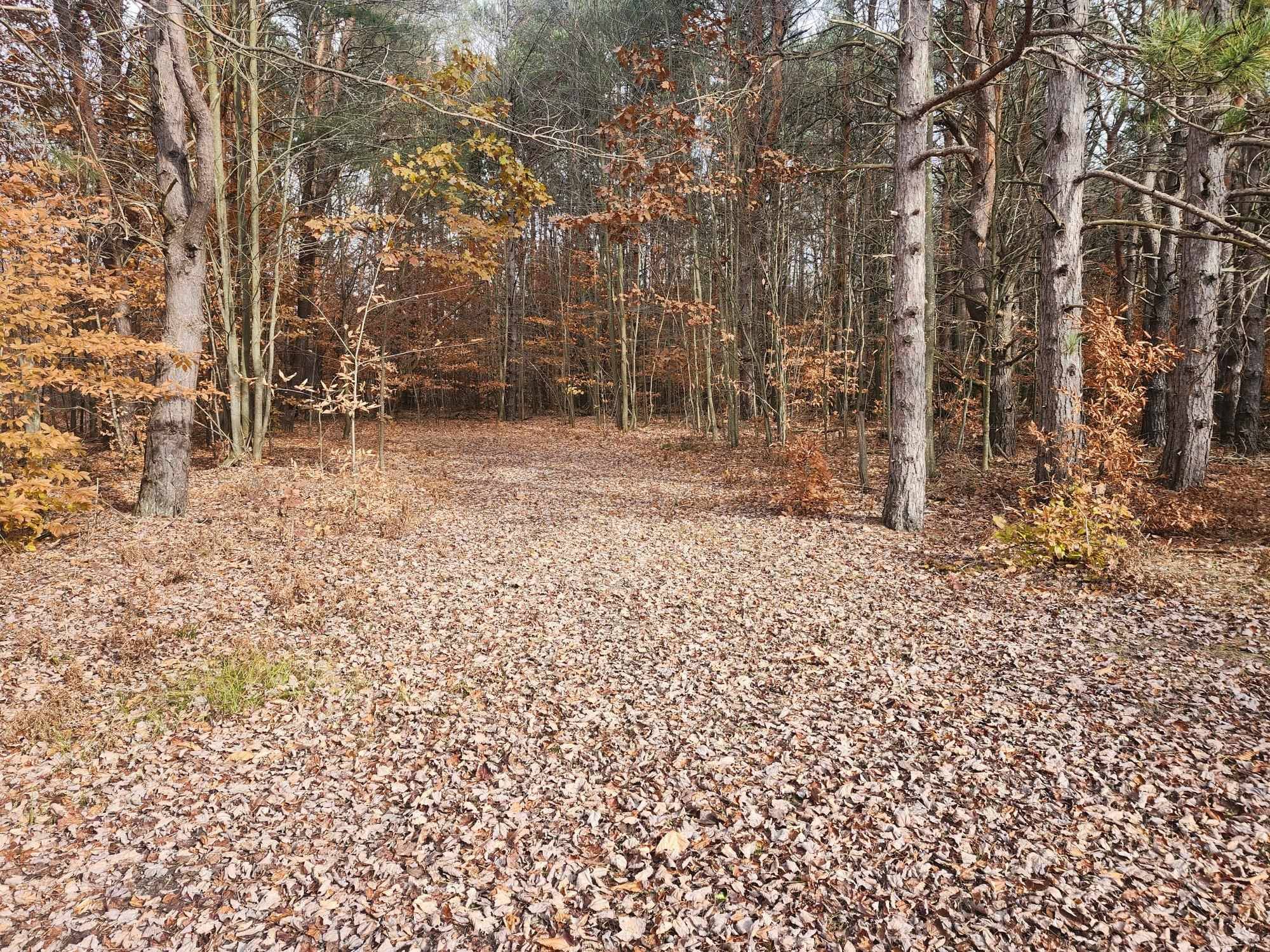 VL 9 Mile RD, Bear Lake Twp, MI 49645