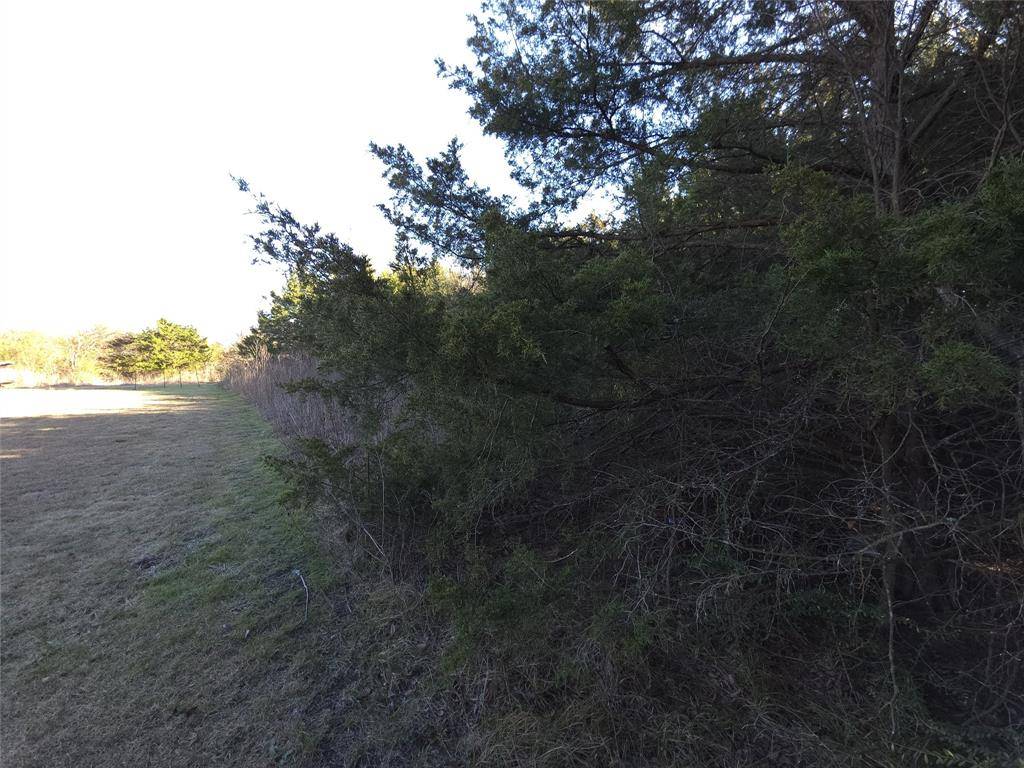 1816 Harrison Street, Greenville, TX 75401