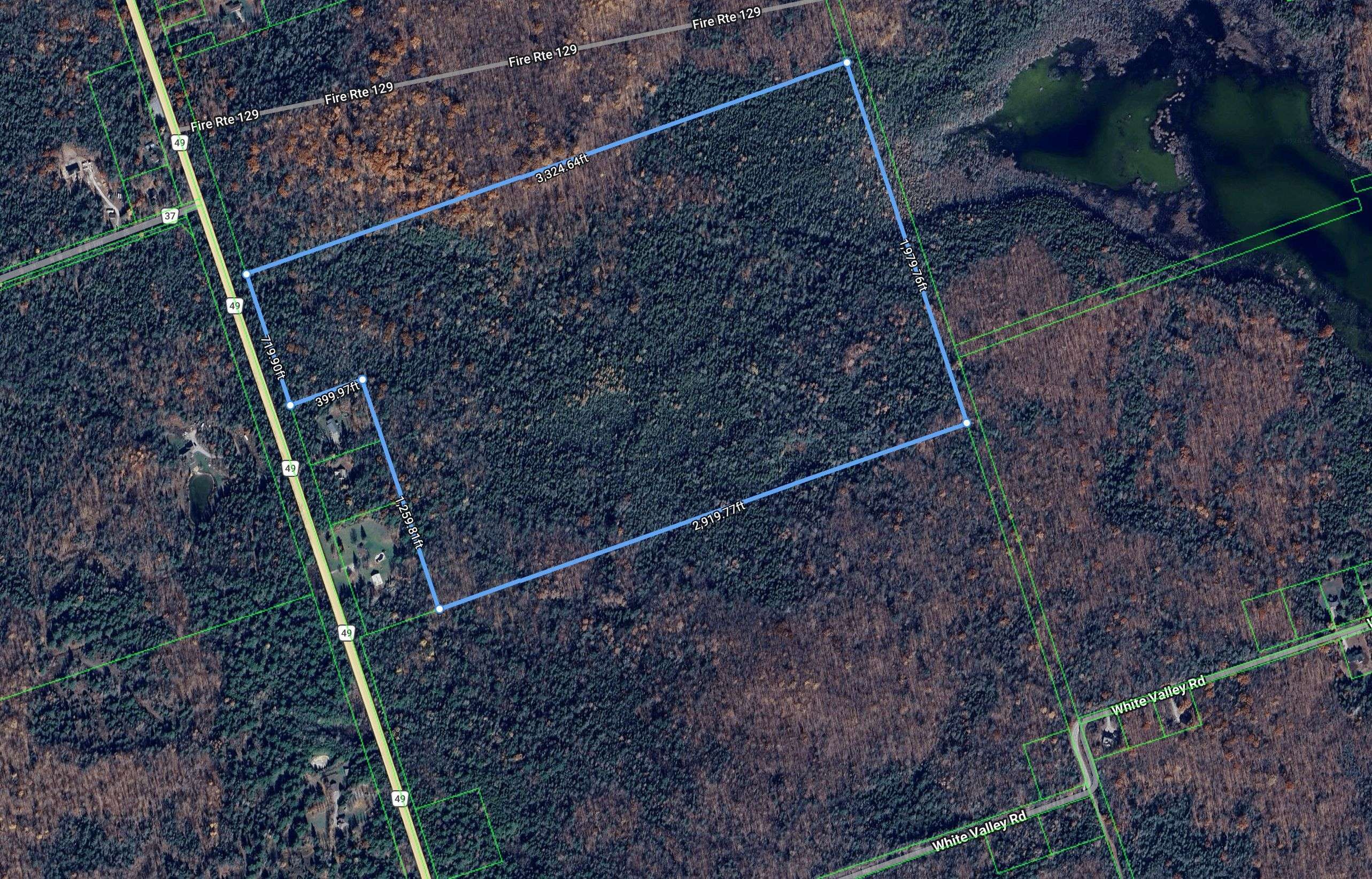 954 COUNTY 49 RD, Trent Lakes, ON K0M 1A0