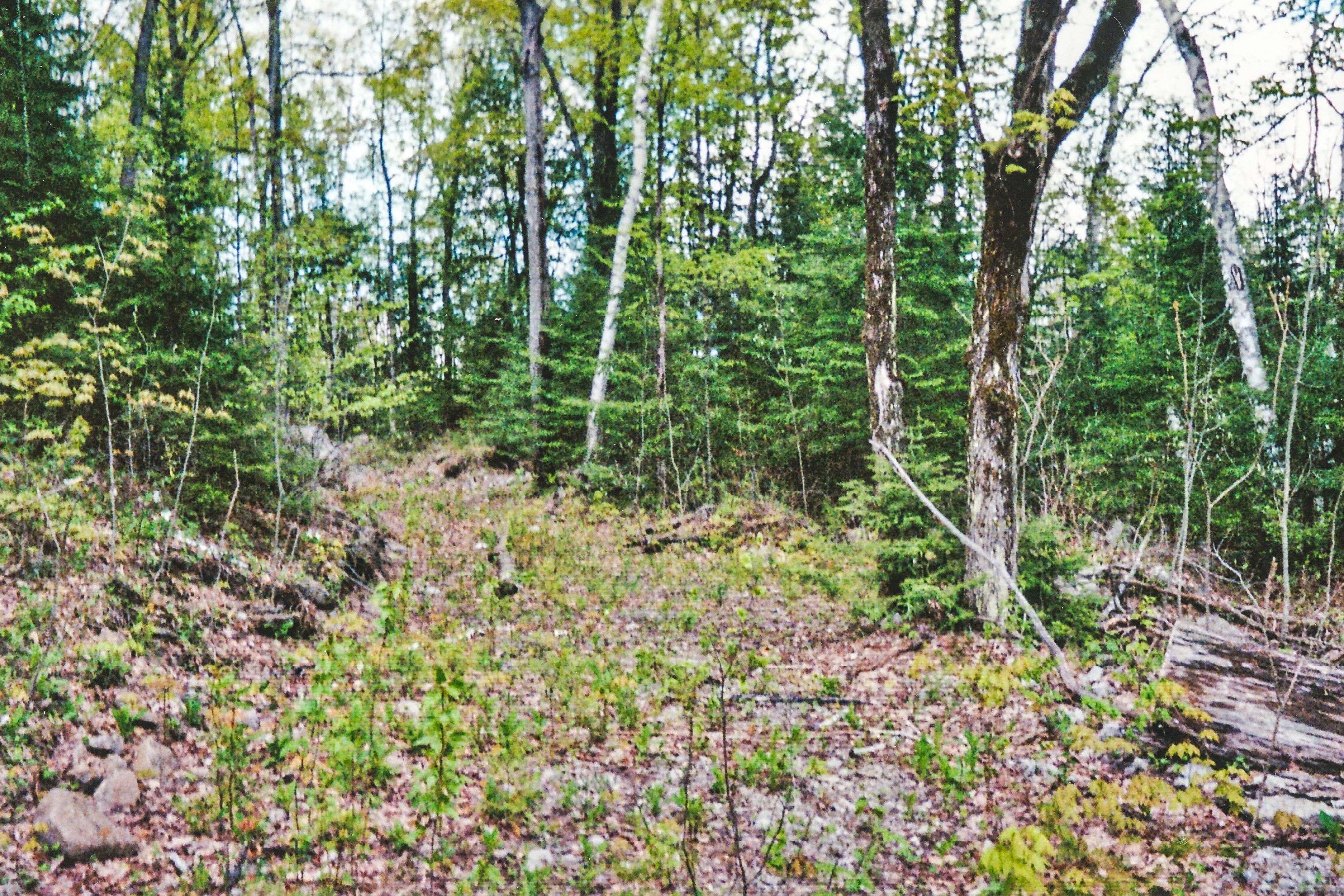 954 COUNTY 49 RD, Trent Lakes, ON K0M 1A0