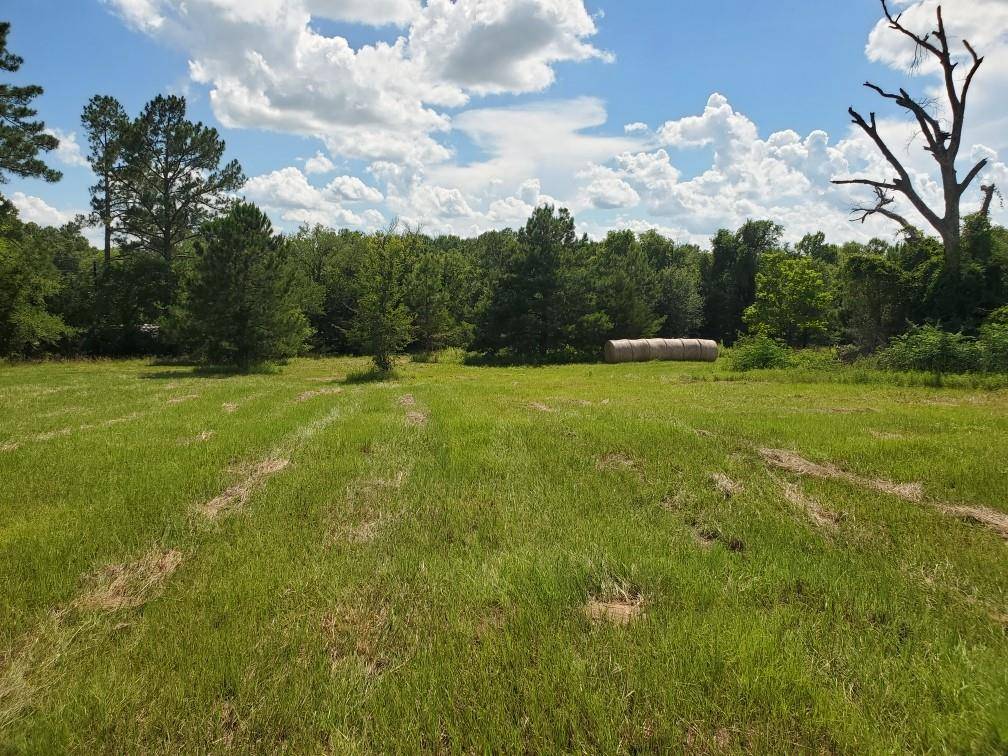 Lot 2 Rains CR1140 Road, Emory, TX 75440