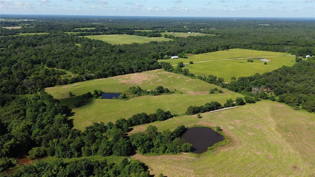 Lot 3 Rains CR1140 Road, Emory, TX 75440