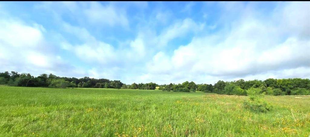 TBD George Wachel Rd. Road, Bremond, TX 76629