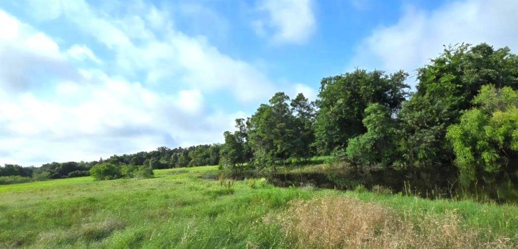 TBD George Wachel Rd. Road, Bremond, TX 76629