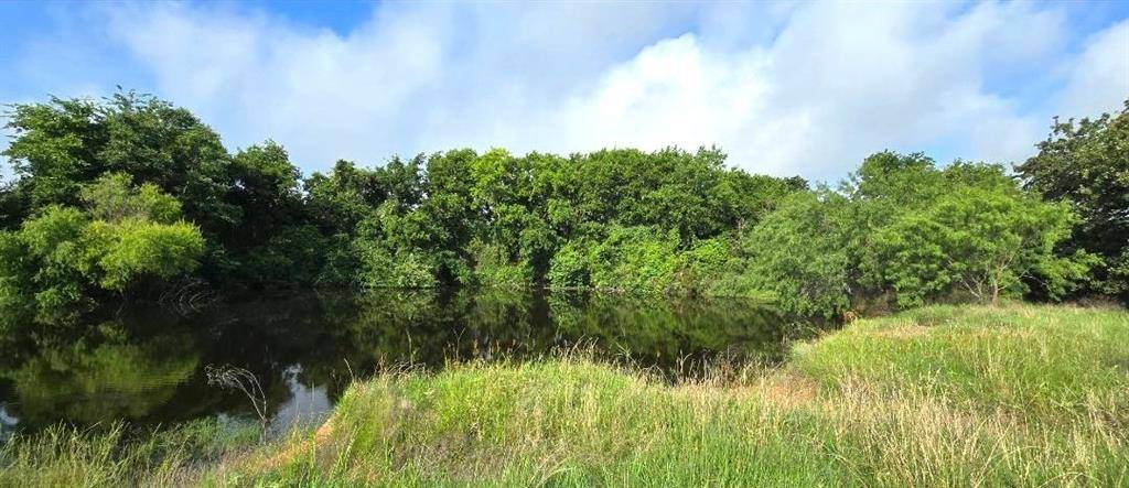 TBD George Wachel Rd. Road, Bremond, TX 76629