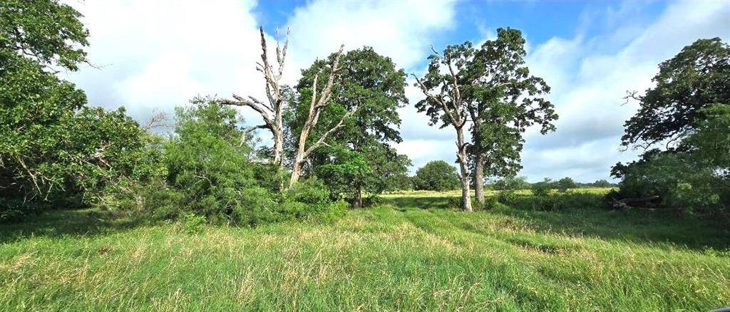 TBD George Wachel Rd. Road, Bremond, TX 76629