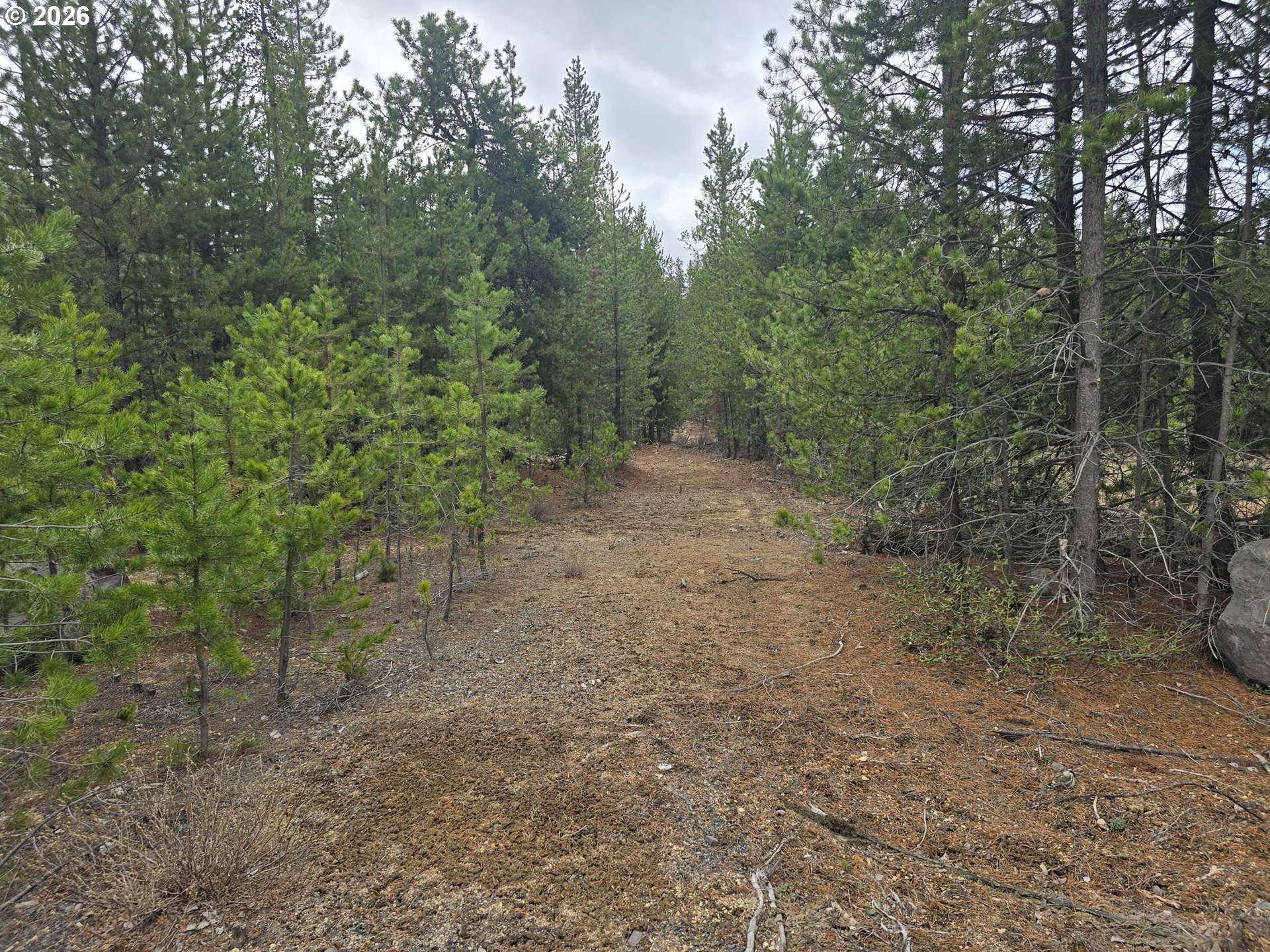 59 Royce Mountain WAY, Crescent Lake, OR 97733