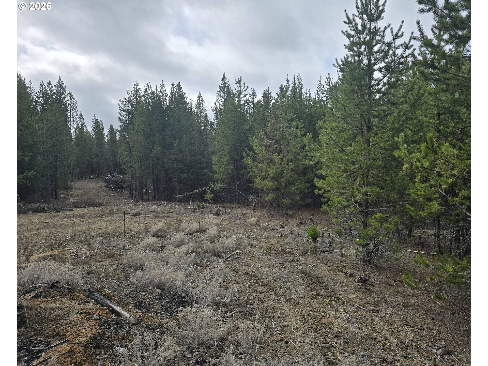 59 Royce Mountain WAY, Crescent Lake, OR 97733