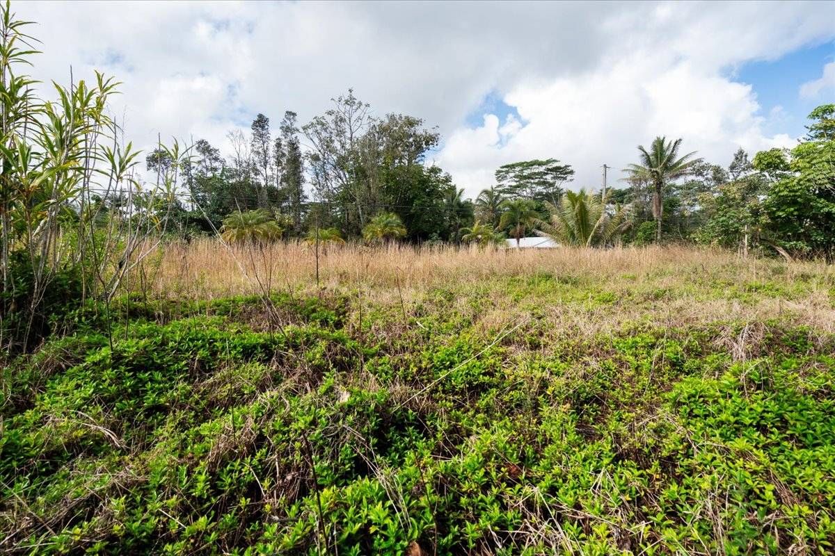 15-448 ANAE ST, Pahoa, HI 96778