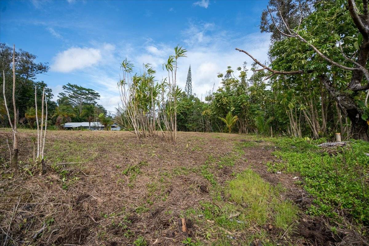 15-448 ANAE ST, Pahoa, HI 96778