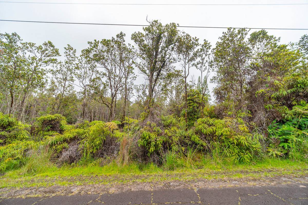 11-3049 ANUHEA ST, Volcano, HI 96785