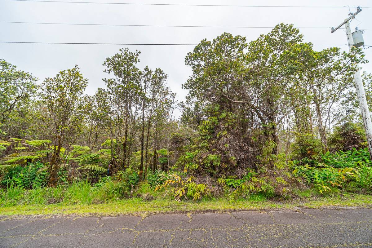 11-3051 ANUHEA ST, Volcano, HI 96785