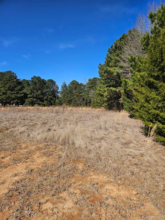 6 Jacklyn Lane, Diana, TX 75640