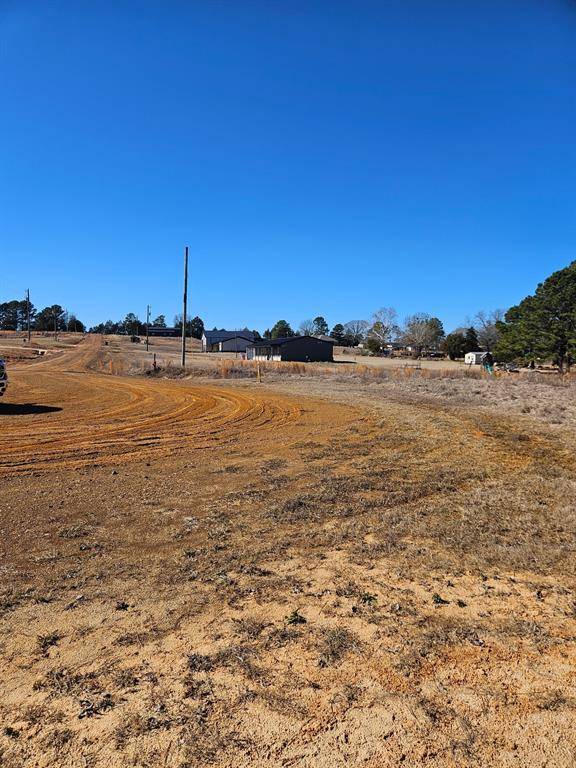 6 Jacklyn Lane, Diana, TX 75640