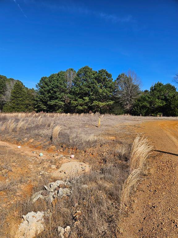 6 Jacklyn Lane, Diana, TX 75640