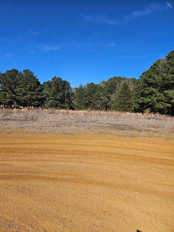6 Jacklyn Lane, Diana, TX 75640