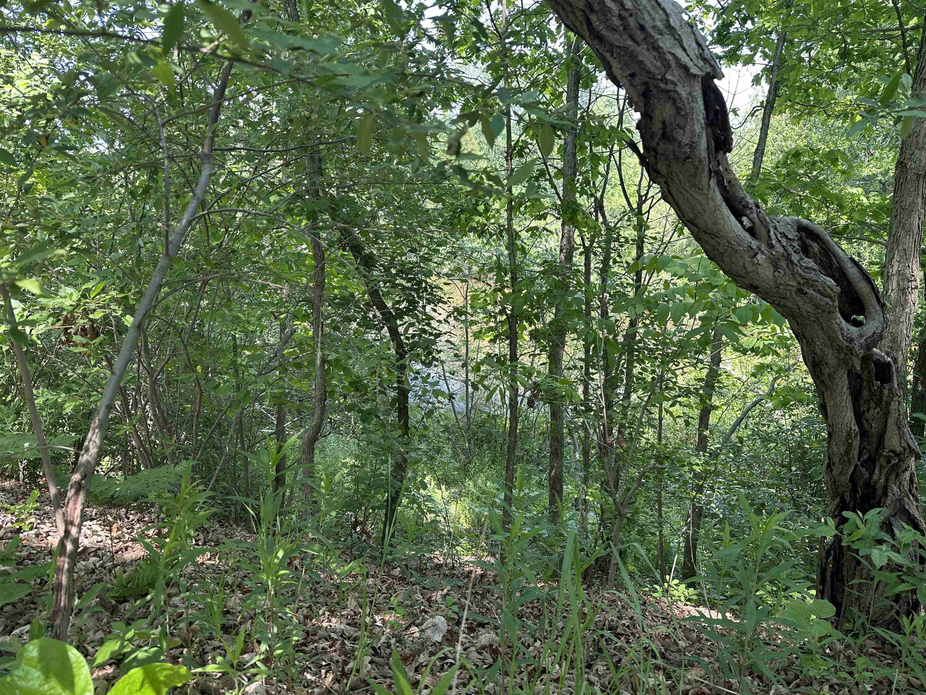 1033 Bonanza LN, Lake Isabella, MI 48893