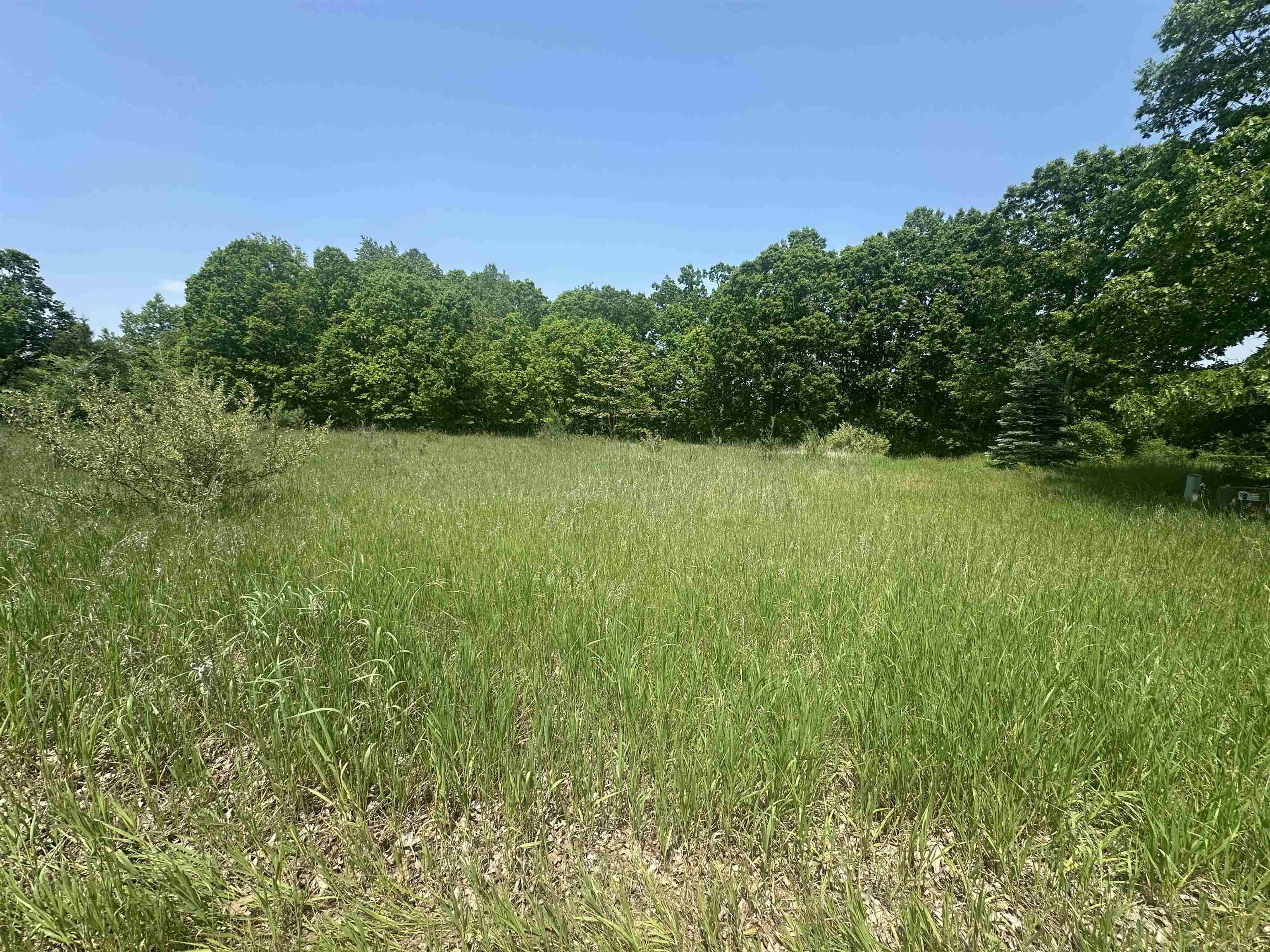 1035 Bonanza LN, Lake Isabella, MI 48893