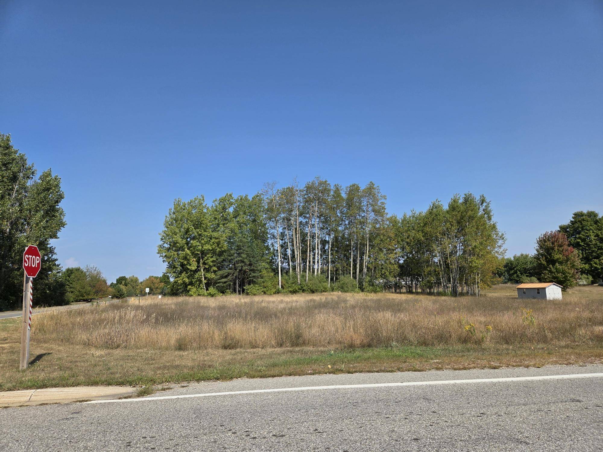 1001 El Camino Grande, Lake Isabella, MI 48893