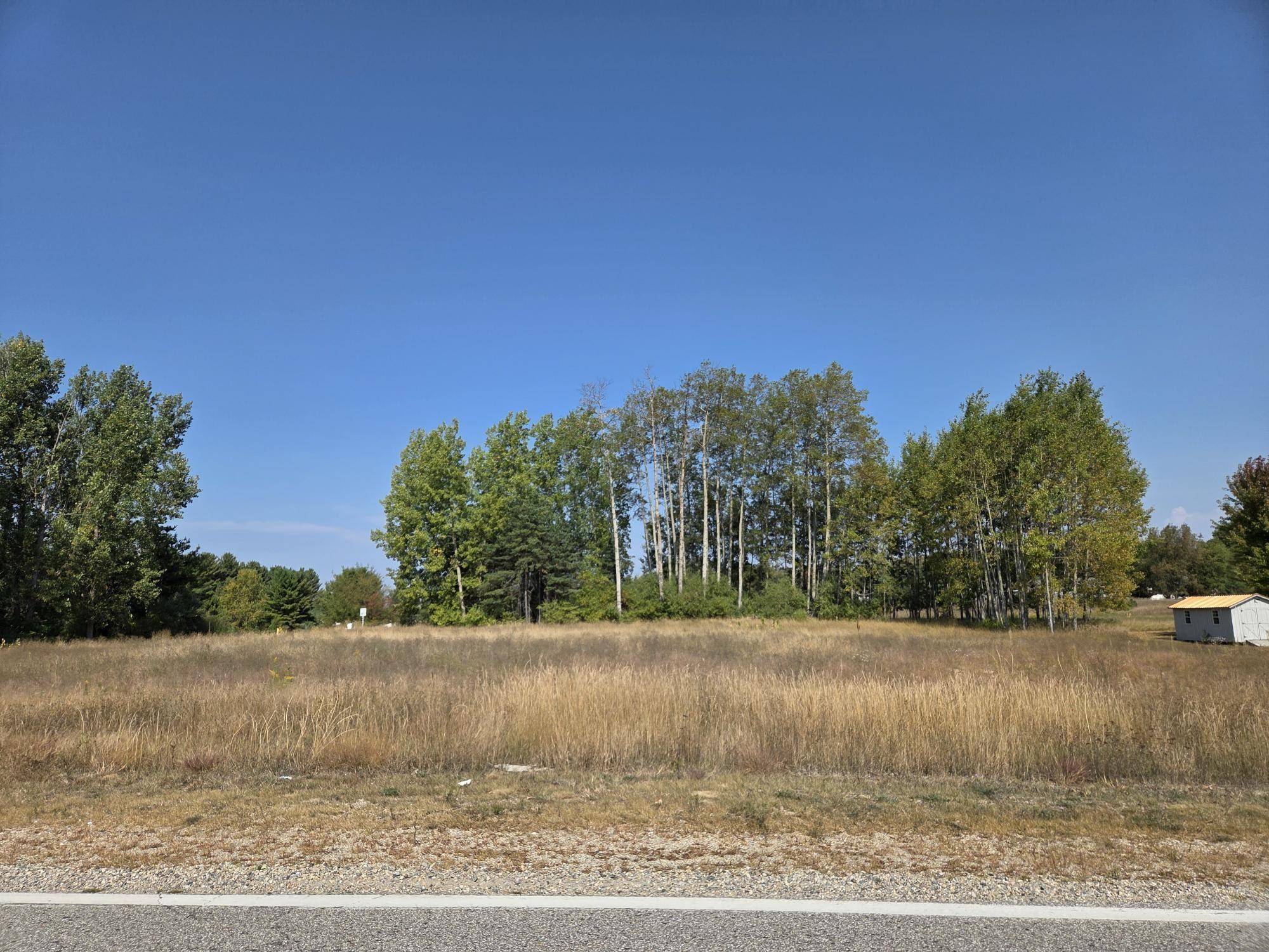 1001 El Camino Grande, Lake Isabella, MI 48893