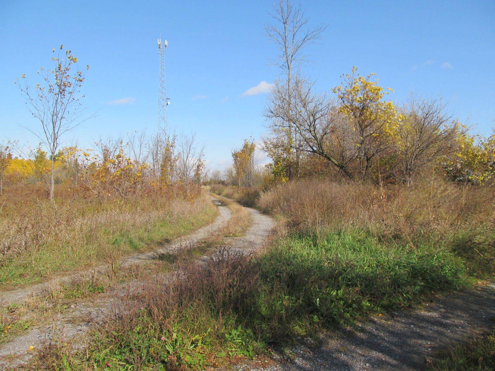454 River RD, Mcnab/braeside, ON K7S 3G8