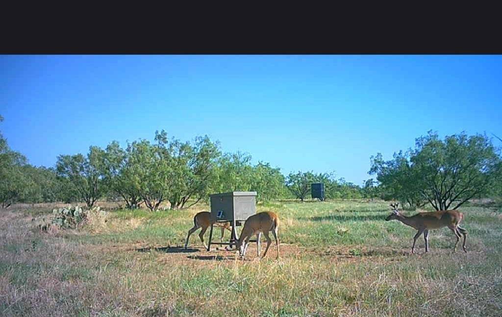 5860 County Road 423, Cisco, TX 76437