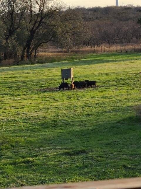 5860 County Road 423, Cisco, TX 76437