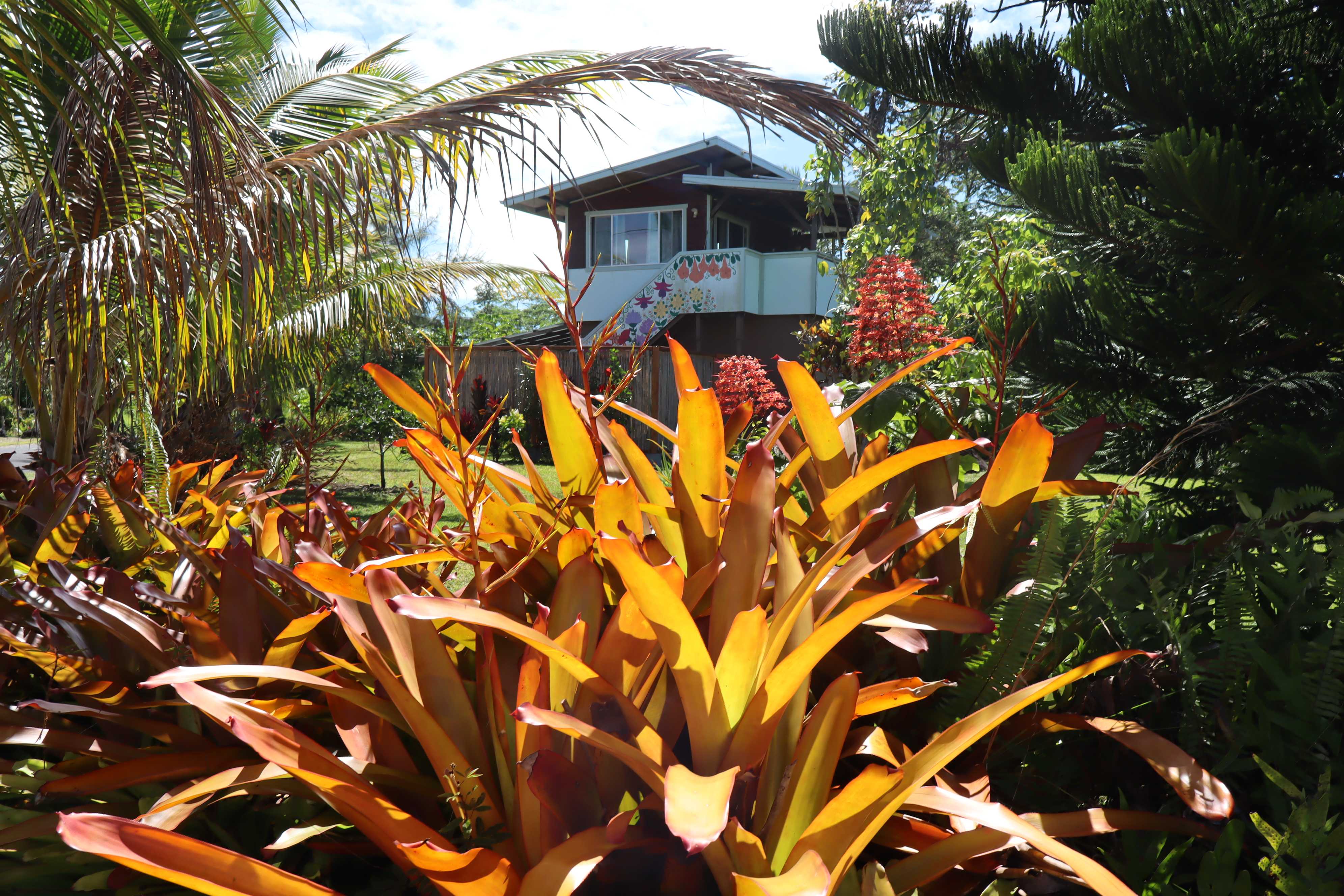 12-7033 MOANIALA ST, Pahoa, HI 96778
